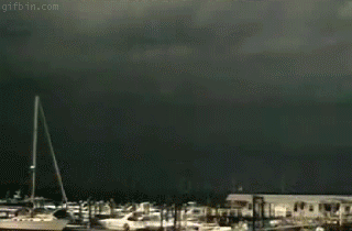 Bewegter Picturedump 19