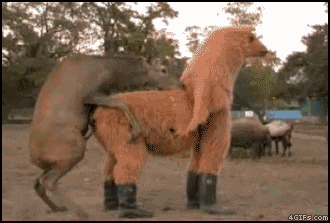 Bewegter Picturedump 19