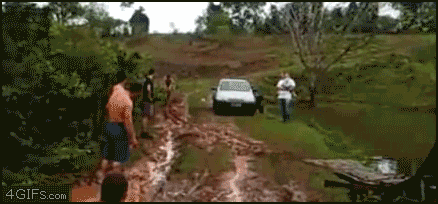 Bewegter Picturedump 56