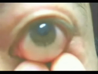 Bewegter Picturedump 74