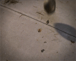 Bewegter Picturedump 74