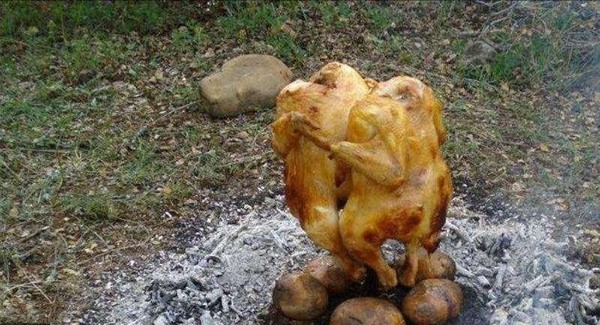 Hühner zubereiten
