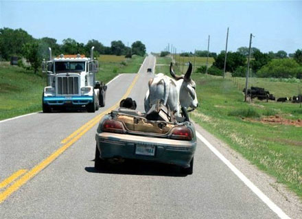 Gemütliche Spazierfahrt