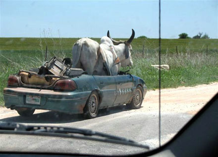 Gemütliche Spazierfahrt