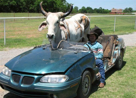 Gemütliche Spazierfahrt