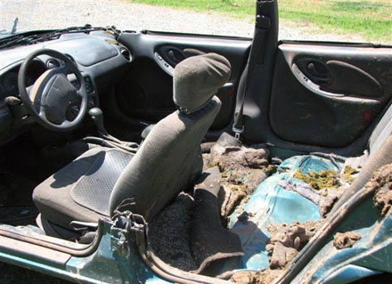 Gemütliche Spazierfahrt