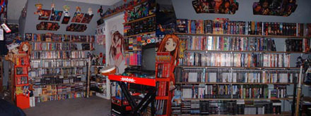 Manga Fan mit Sammeltick