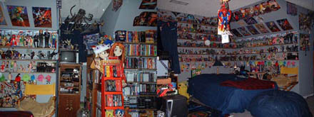 Manga Fan mit Sammeltick