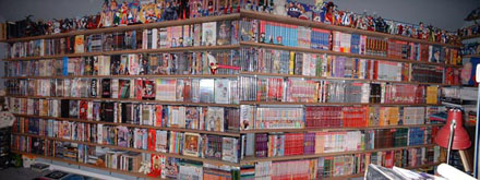 Manga Fan mit Sammeltick