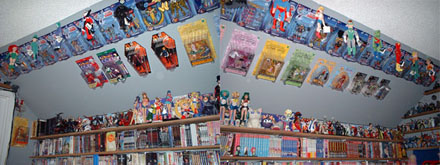 Manga Fan mit Sammeltick