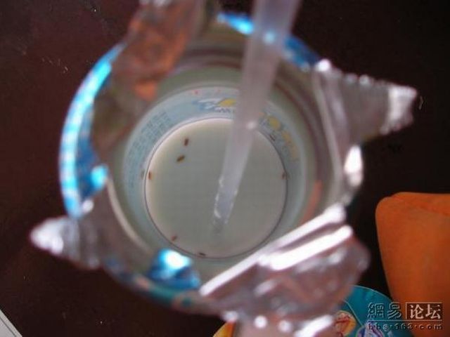 #02 Was schwimmt denn da in meiner Milch?