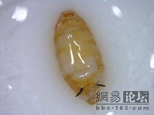 #05 Was schwimmt denn da in meiner Milch?