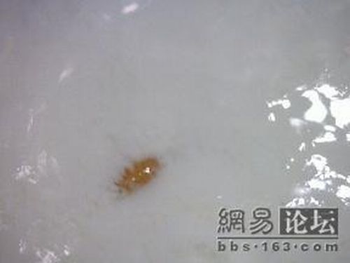 #07 Was schwimmt denn da in meiner Milch?