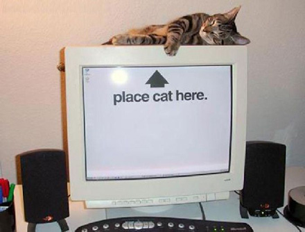 Picturedump 84