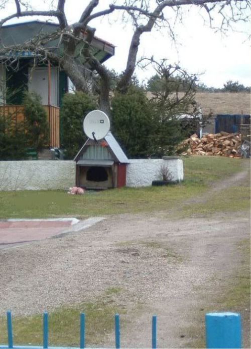 Satellitenanlagen aus aller Welt