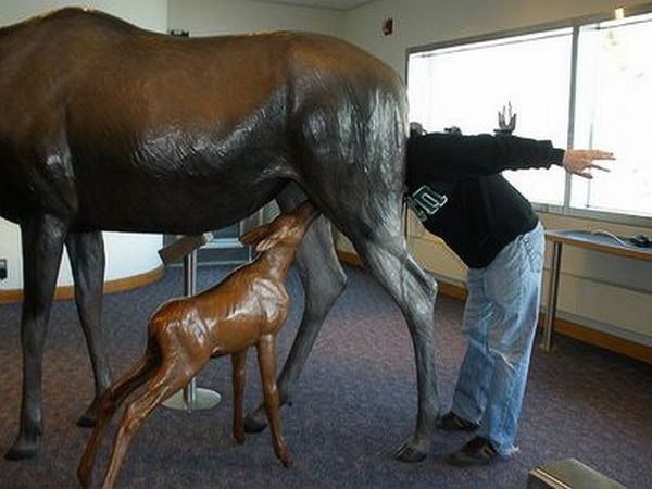 Misshandelte Statuen