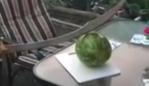Melone mit dem Säbel zerteilen