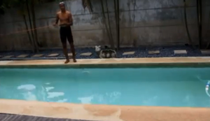 Im Pool für den Triathlon trainieren