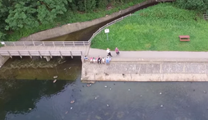 Drohne vor dem Untergang retten