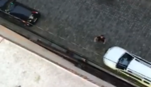 Wirf mal ein Paket Kaffee runter! Wirf mal ein Paket Kaffee runter!