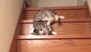 Kein Bock aufzustehen