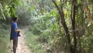 Standhafter Asiate Standhafter Asiate