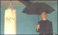 Der Regenschirm für Draufgänger