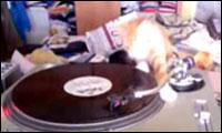 DJ Kitty