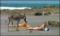 Bikinigirls am Strand