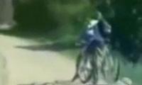 Bicycle Compilation