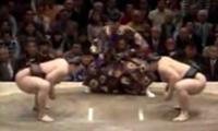 Real Sumo Fighting