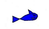 Der viereckige blaue Hai