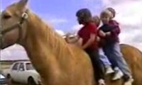 4 Kinder und 1 Pferd