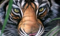 Tiger-Bodypainting