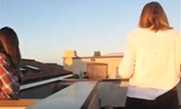 Ein Seehund auf dem Dach