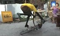 Afrikanischer Fahrradtanz