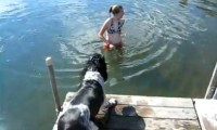 Hund will einfach nicht ins Wasser