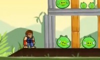 Angry Birds vs Chuck Norris
