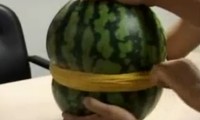 Wassermelone vs Gummibänder
