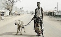 Afrikanische Haustiere