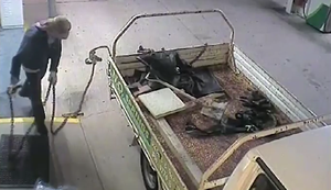 Der Versuch einen Geldautomat zu klauen