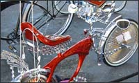 cruiser cruiser