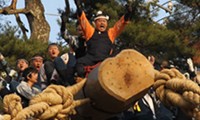 Japaner reiten auf heiligem Baumstamm