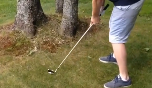 Zwischen den Bäumen