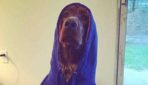 Spassprediger Picdump #038