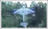 balance-akt balance-akt