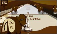 brown cow curling