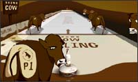 brown cow curling brown cow curling
