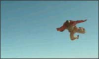 polo - skydiver polo - skydiver