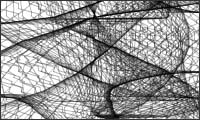 string spin string spin